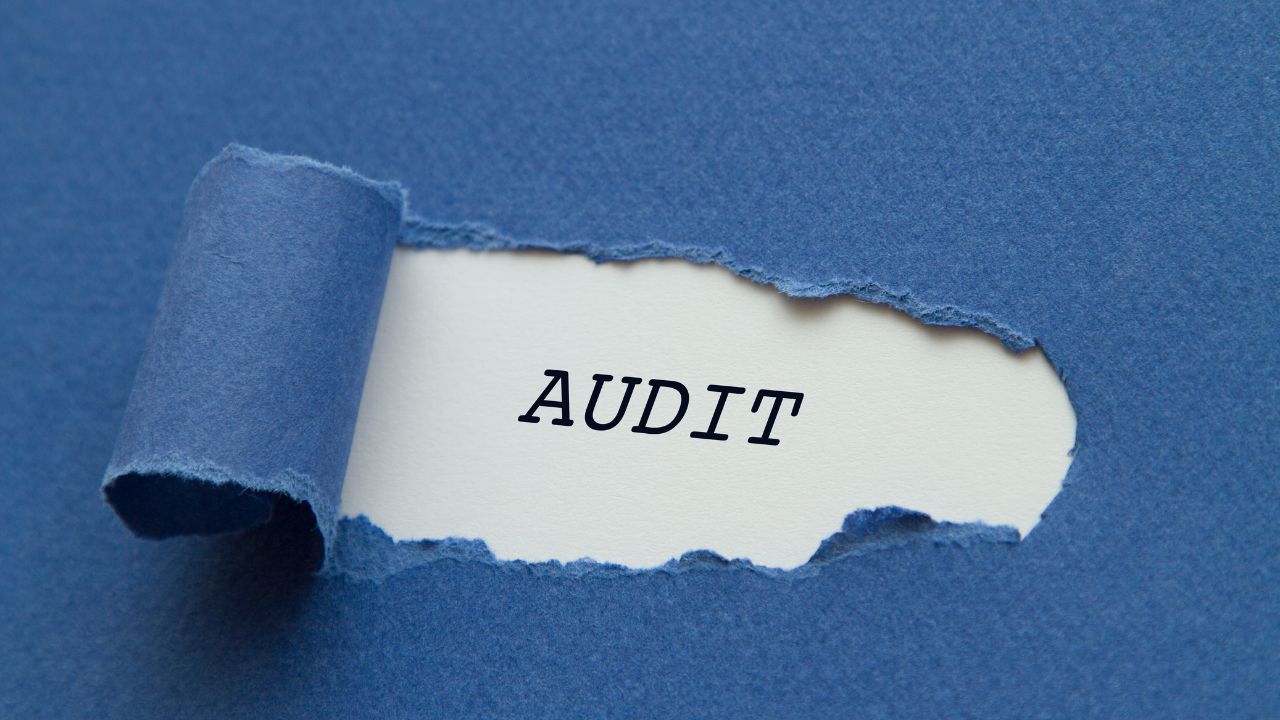 roles of audit service